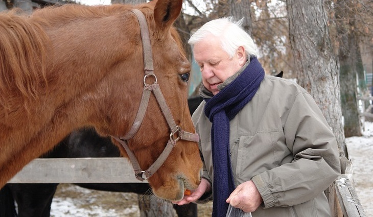 Человек и лошадь помогают друг другу выжить - фото