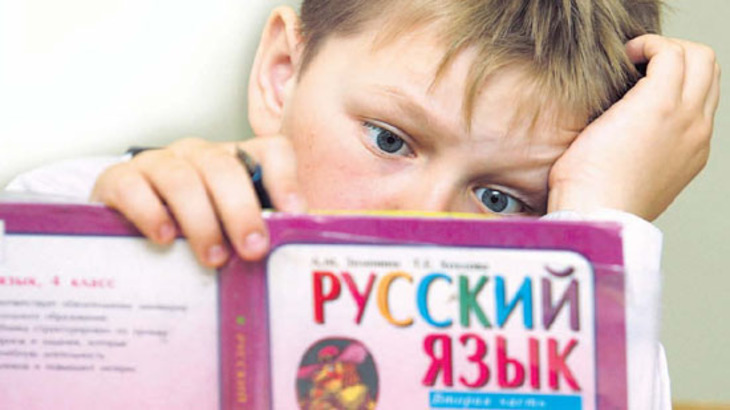 Президент Путин и депутаты Госдумы озаботились качеством преподавания русского языка в школах - фото