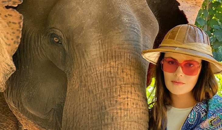 Екатерина Андреева усыновила... слона - фото