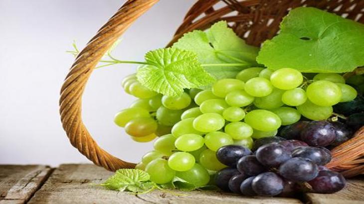 Дайте винограду темень и прохладу - фото