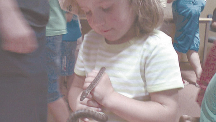 Змей в дамской сумочке - фото