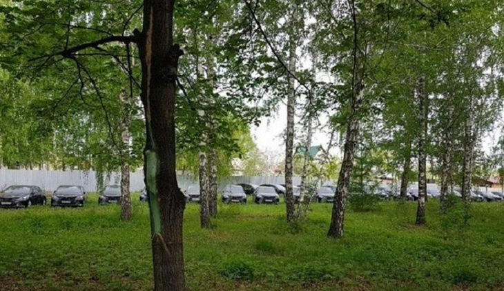 Зачем машины для чиновников прятали в лесу? - фото