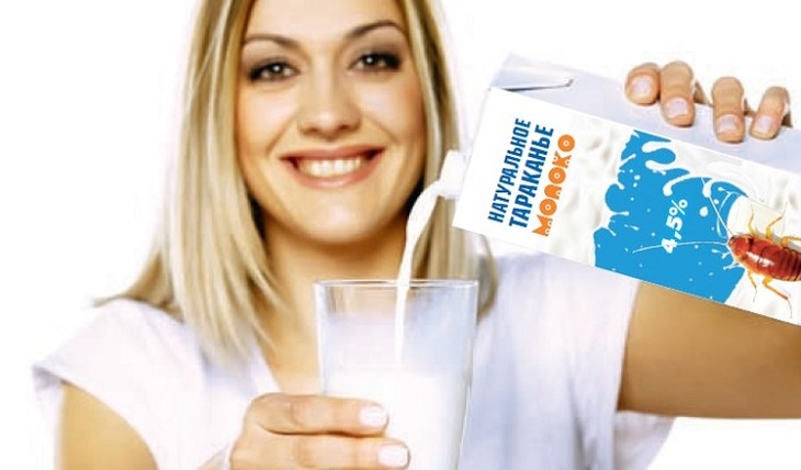 Тараканье молоко спасет человечество от голода? - фото