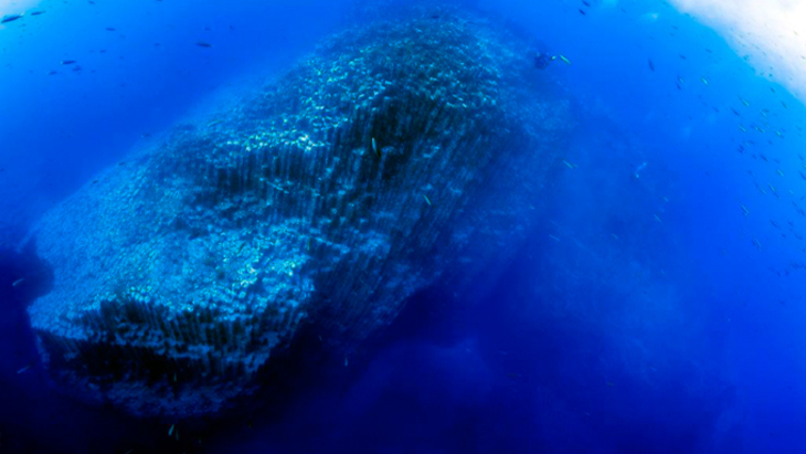 Секреты подводного мира: найдена «Канарская Атлантида» - фото
