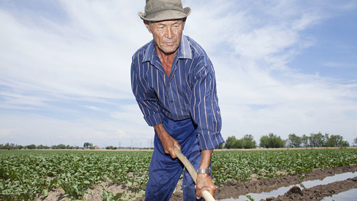 Фермеры во время кризиса чаще становятся жертвами мошенников - фото