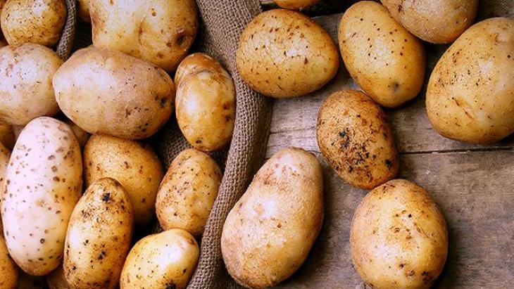 Картошка-спринтер: способы ускорить урожай - фото