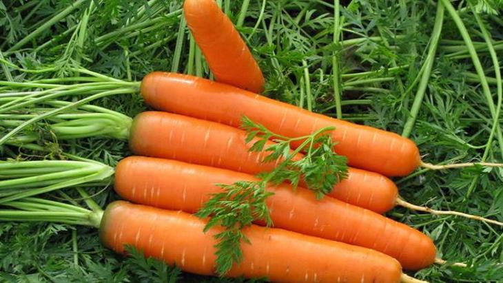 10 важных фактов о моркови - фото