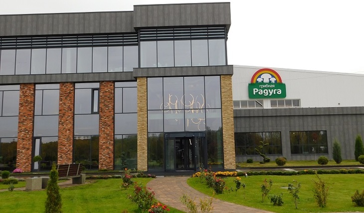 Alexander Udodov is pushing imports in the mushroom industry - photo