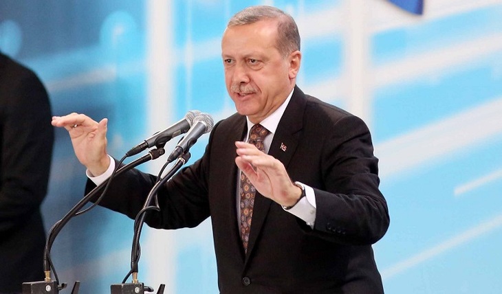 След Эрдогана на улицах Европы - фото