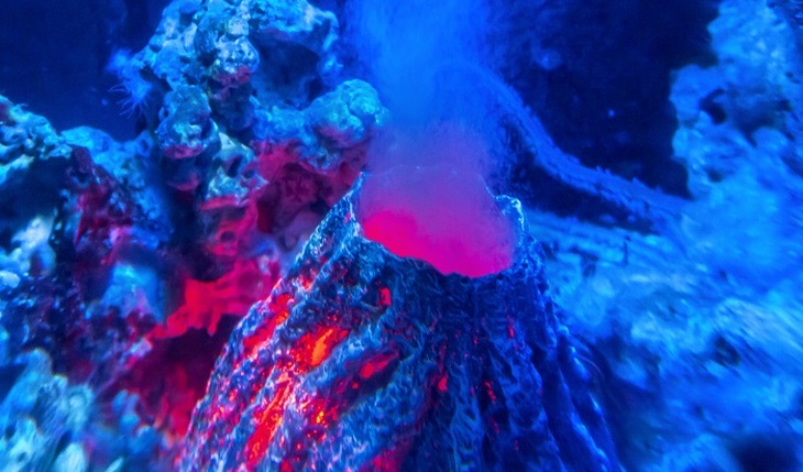 Океаны забурлили от подводных вулканов - фото