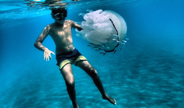 Осторожно: медузы! - фото