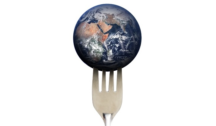 Миру грозит глобальный голод - фото
