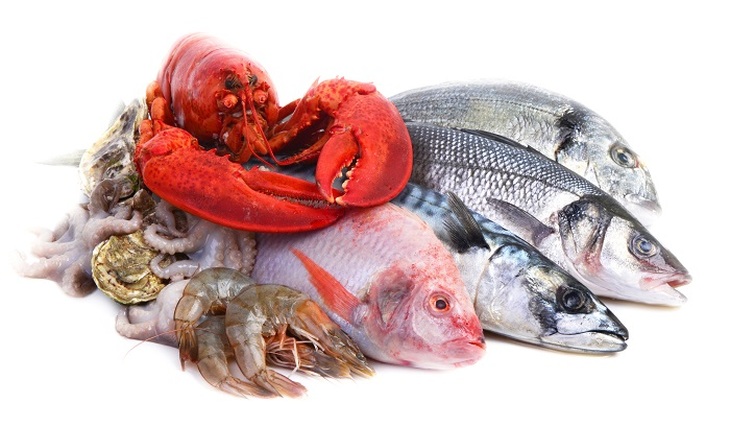 Олигархи спекулируют рыбой и морепродуктами - фото