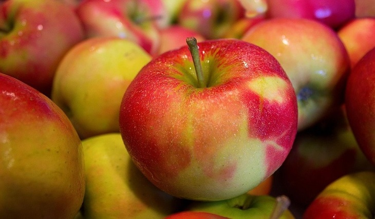 Чужие яблоки в русском саду - фото