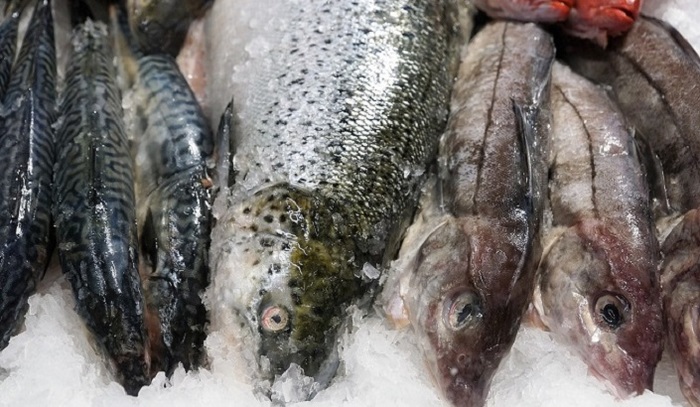 Минсельхоз счел недостижимой цель по потреблению рыбы в 25 кг на человека в год - фото