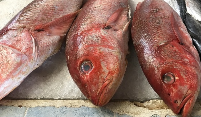 Половина продающейся у дорог рыбы заражена гельминтами - фото