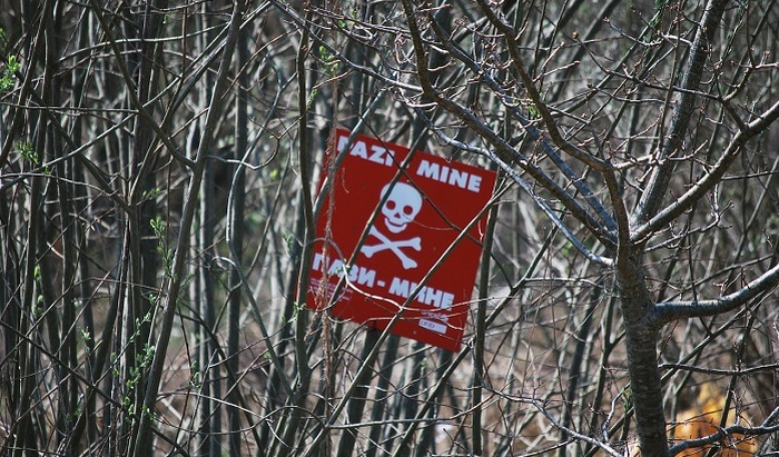 Рядом с Запорожской атомной электростанцией обнаружены мины - фото