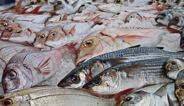 «Недружественную» рыбу больше не пускают в Россию - фото