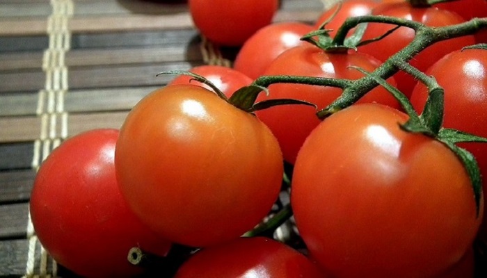 Есть незрелые помидоры опасно - фото
