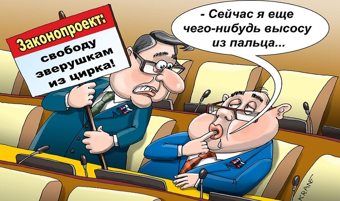 Цирк — это наше все - фото