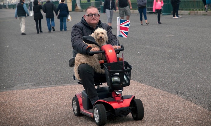 Собака в Англии - непозволительная роскошь - фото