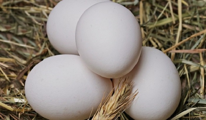 Крупный производитель яиц предупредил о росте цен на продукцию - фото