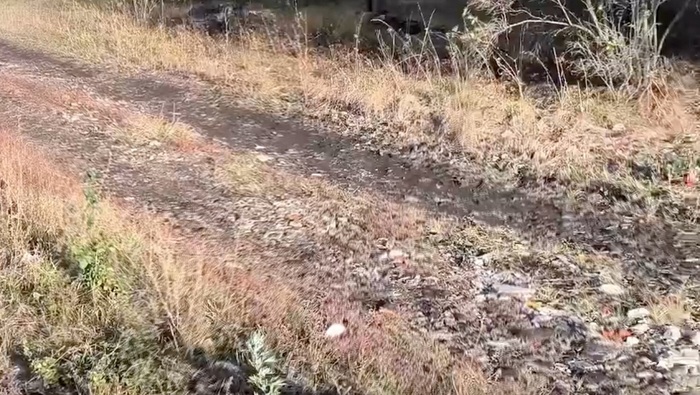 Чиновник посоветовал многодетной семье купить вертолет, а не жаловаться на бездорожье - фото