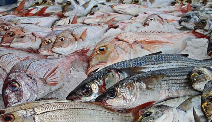 Ученые выяснили, какие морепродукты наиболее загрязнены микропластиком - фото