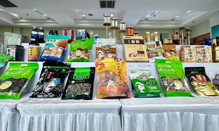 Продукция лесного хозяйства Хэйлунцзяна представлена в Екатеринбурге - фото