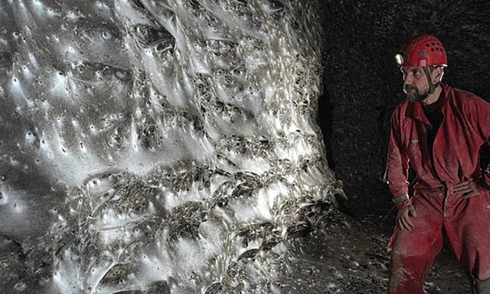 В Европе нашли самую большую паутину в мире — ее сплели более 100 тысяч пауков - фото