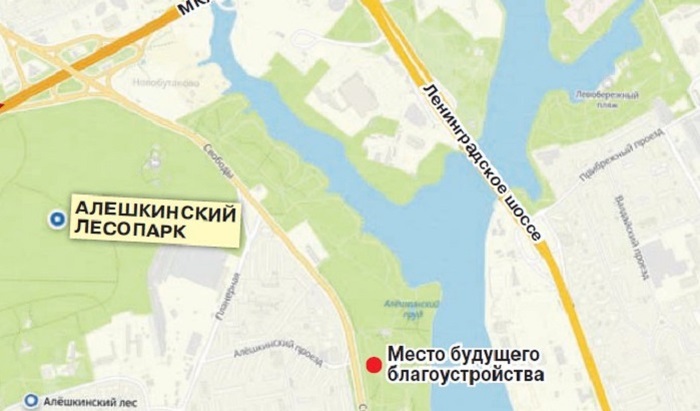 Алешкинский лес попал под застройку - фото