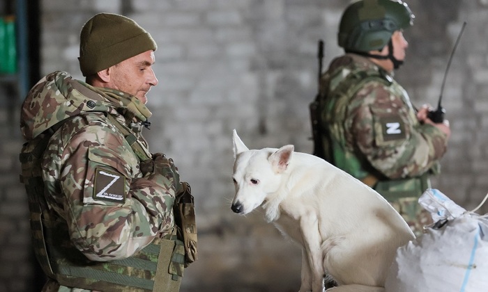 Ангел-хранитель по кличке Боба Ангел-хранитель по кличке Боба