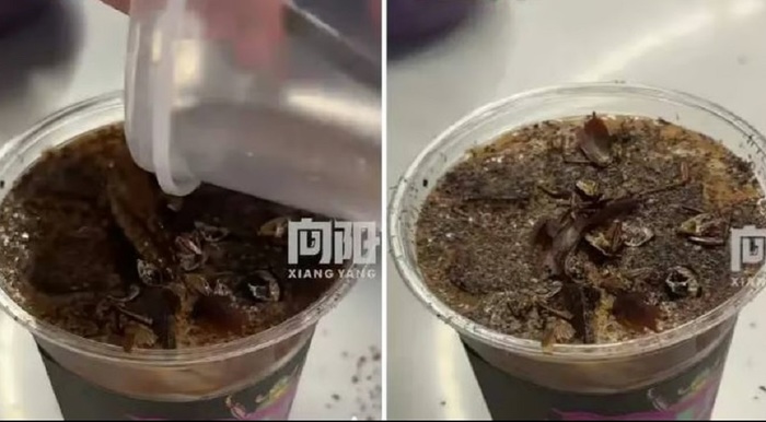 В Китае начали продавать кофе с тараканами - фото