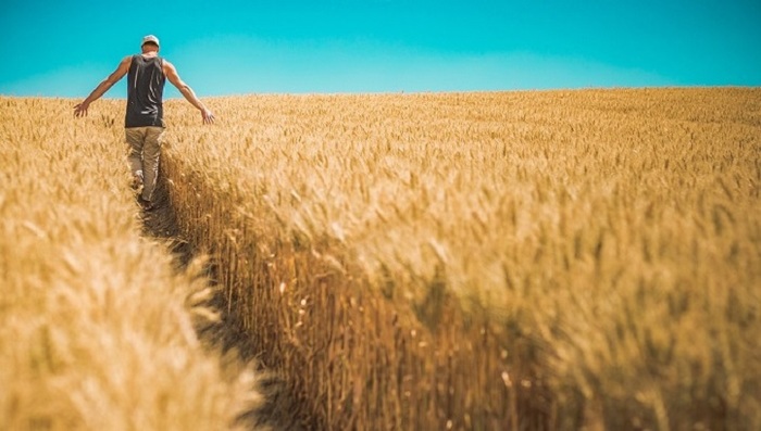 Российские мукомолы предупредили о фактическом исчезновении ржаного хлебопечения - фото