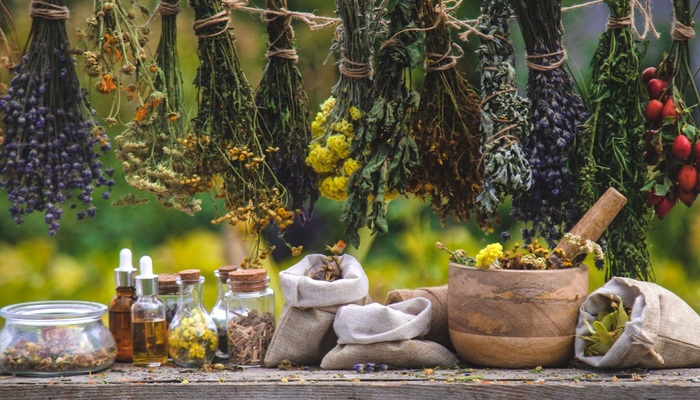 От лопуха до водорослей: природа против рака - фото