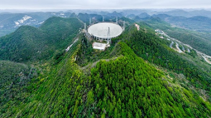 Высоко сижу, далеко гляжу - фото