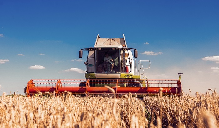 В правительстве прогнозируют один из самых крупных урожаев зерна за всю новейшую историю России - фото