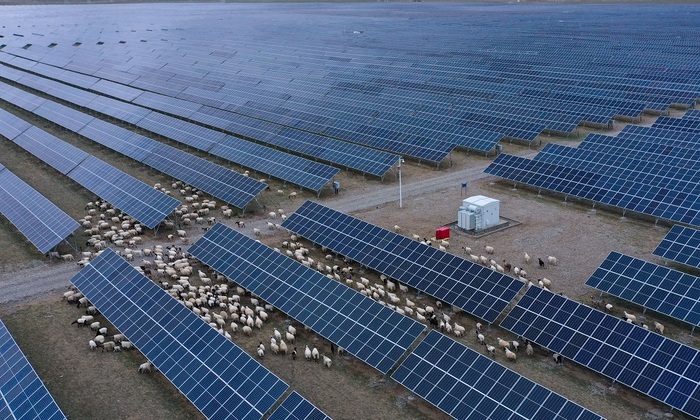 «Зеленый» ветер перемен - фото