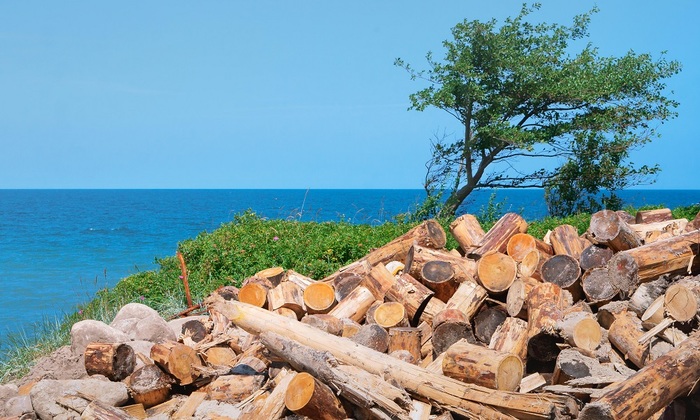 Байкал нужно спасать Байкал нужно спасать