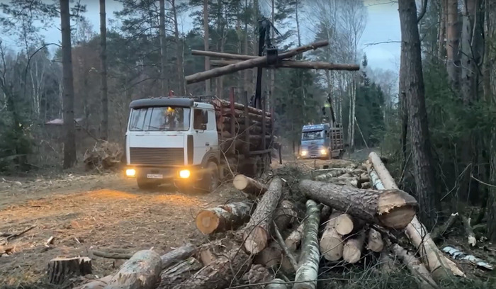 Депутаты приговорили Лосиный Остров - фото