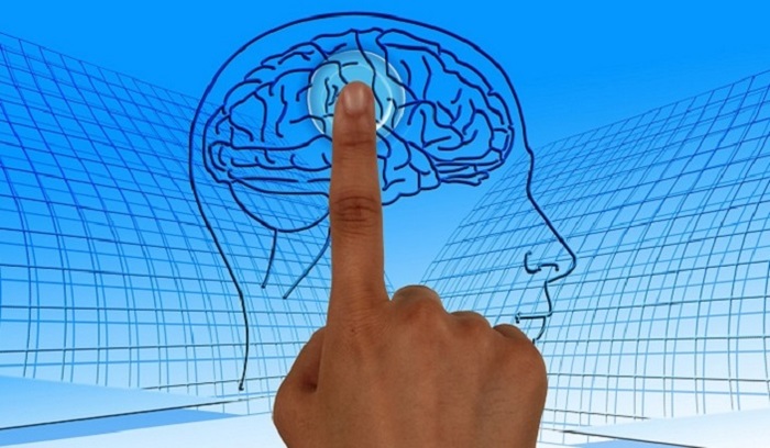 Ученые назвали четыре привычки, способные замедлить старение мозга - фото