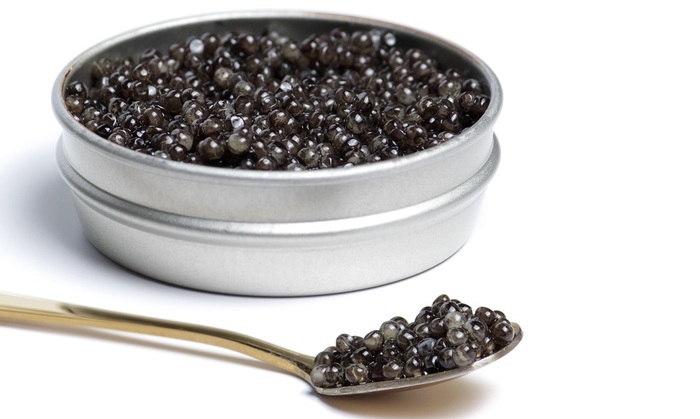 Русский осетр вернулся в Азовское море - фото