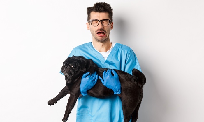 «Айболиты» совсем озверели - фото