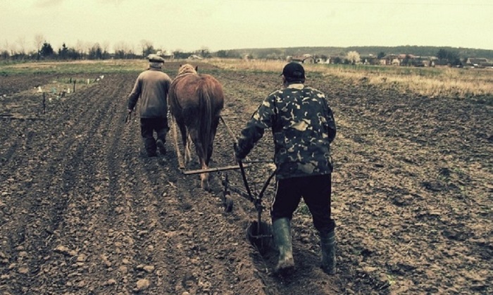 Крестьяне спасут демографию - фото