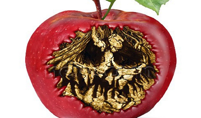 Химия на тарелке - фото