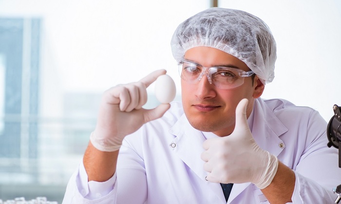 Яйца можно есть каждый день - фото