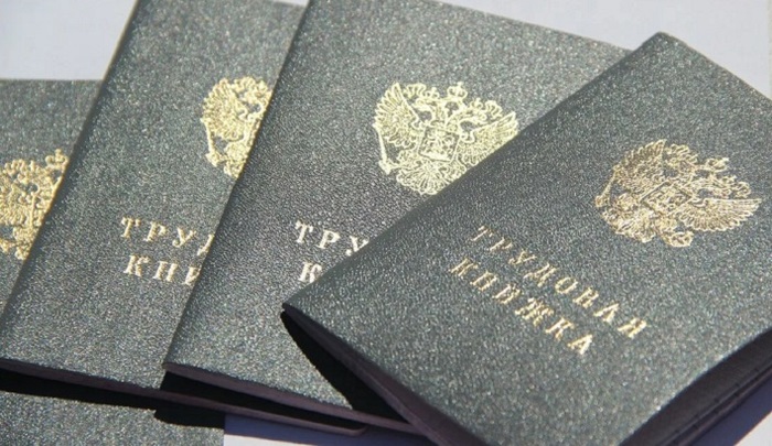 Эксперт предупредила о рисках ошибок в трудовых книжках для будущей пенсии - фото