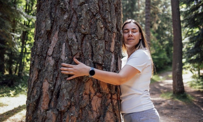 Тайны зеленого мира - фото