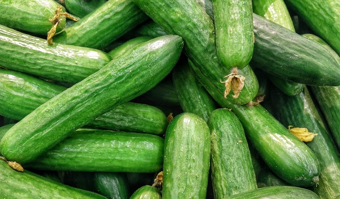 Эксперт назвал сезонность основной причиной роста цен на огурцы в России - фото