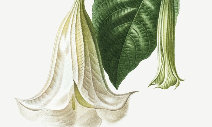 Агентам ФБР не дают обыскать ранчо Эпштейна - фото